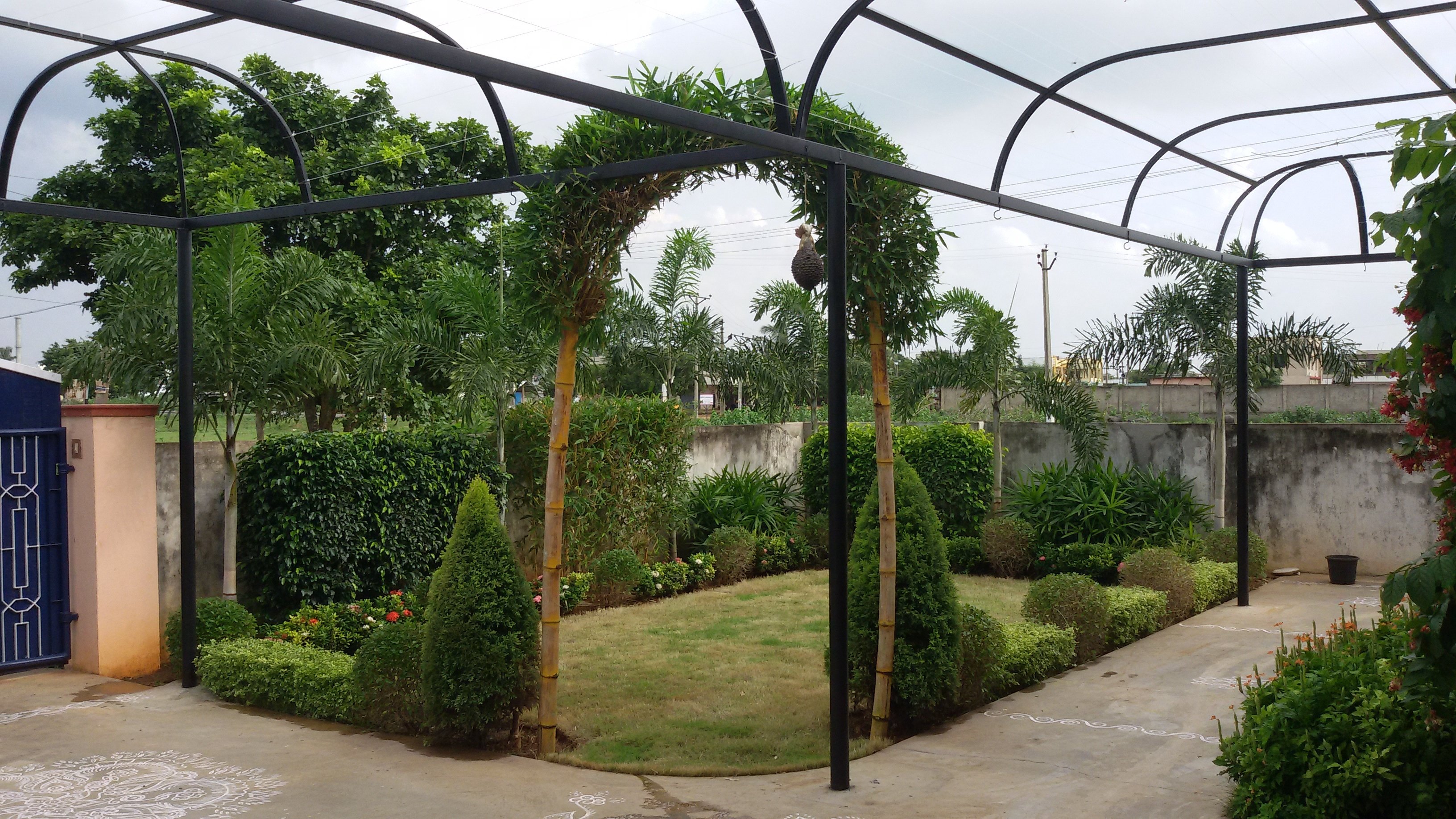 VGC Landscape Project 165